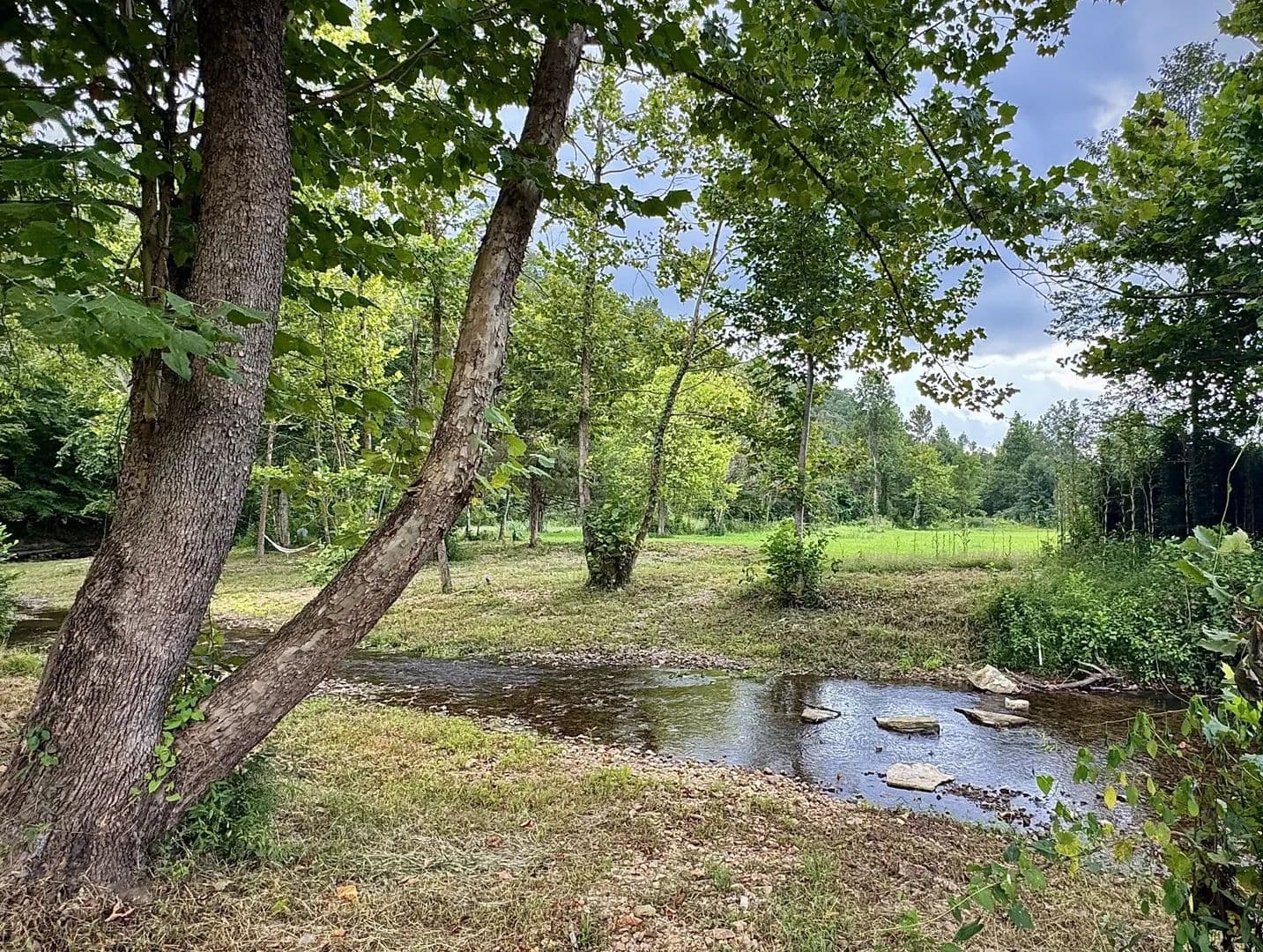 Vacant Land in Linden - Linden, Tennessee, 37096