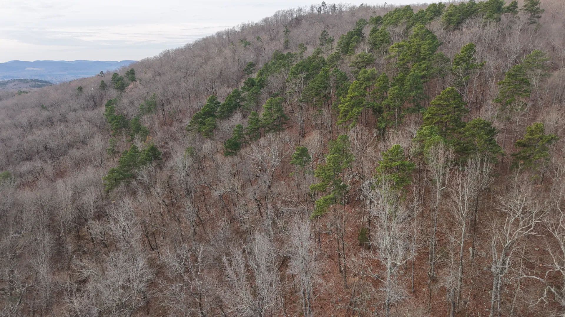 9.22 Acres in Polk County, AR - Mena, Arkansas, 71953