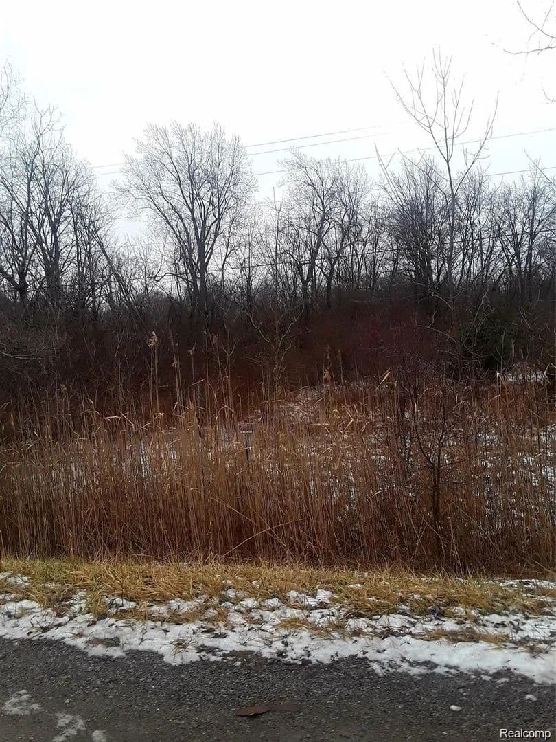 Property from 00 E Maple Avenue - KW