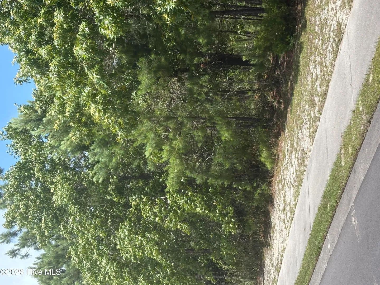 Vacant Land in Shallotte - Shallotte, North Carolina, 28470