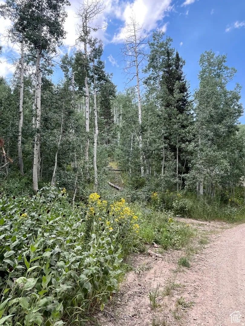 Vacant Land in Coalville - Coalville, Utah, 84017