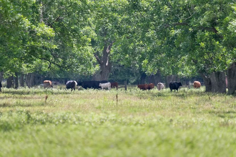 Property from 2640 County Road 107 - KW