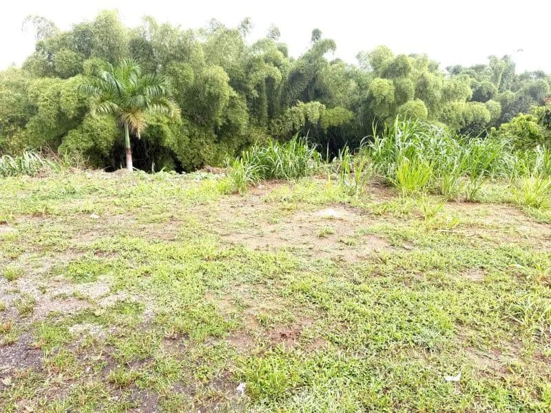 1411 Acres of Land for Sale in Cidra - land for sale