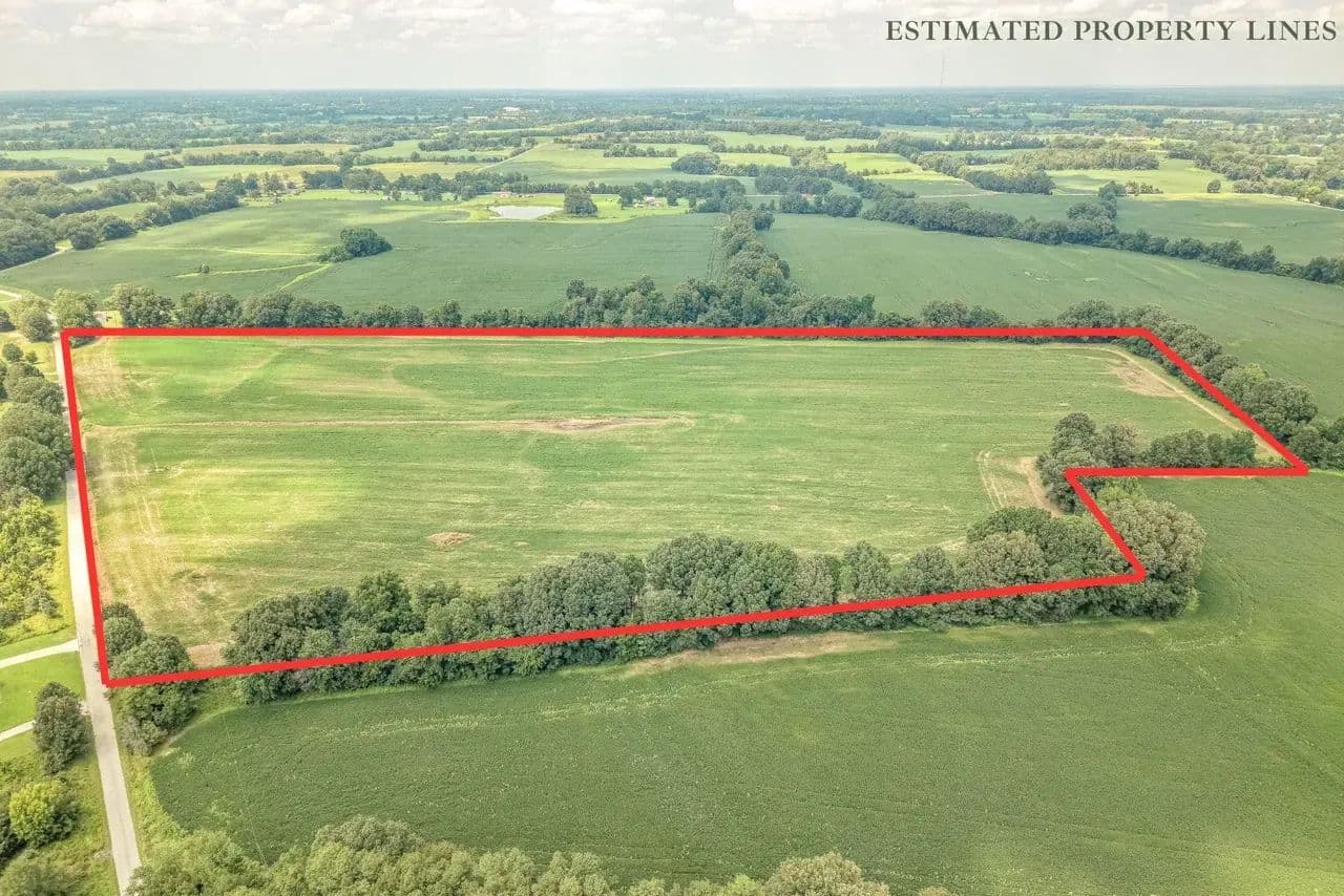 Productive Agricultural Ground - land for sale