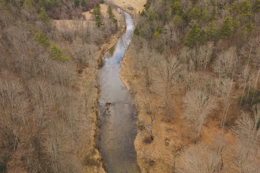 Wooded Creekfront Land for Sale in Hillsville VA