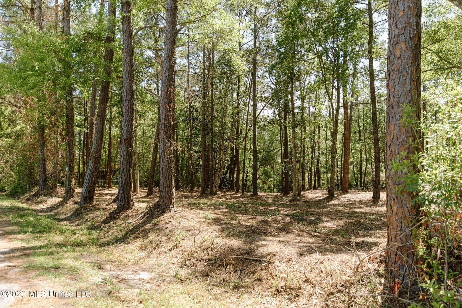 Lots & Land-Other in Gautier - Gautier, Mississippi, 39553