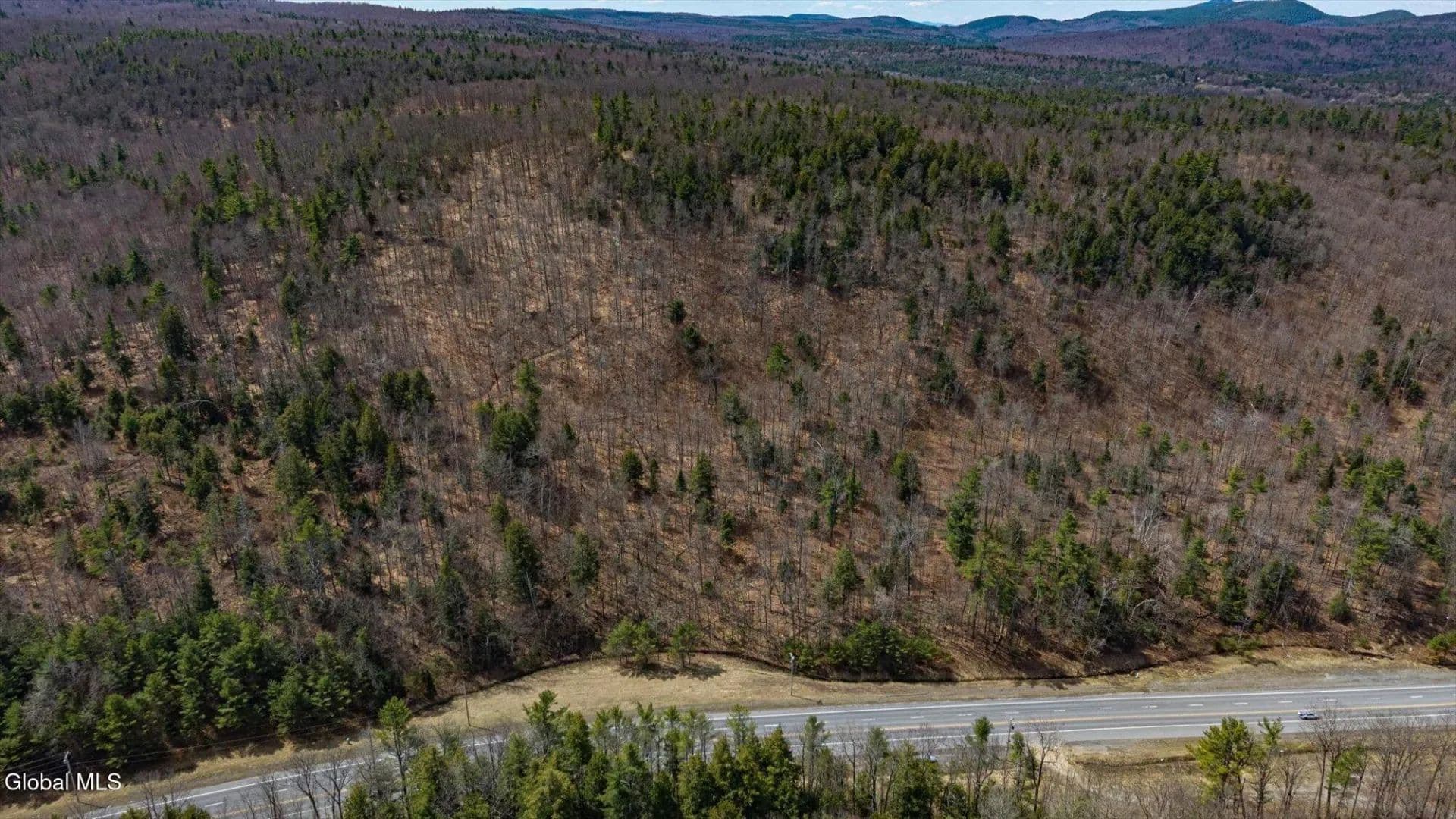 Land -Single Family Acreage in Ticonderoga - Ticonderoga, New York, 12883