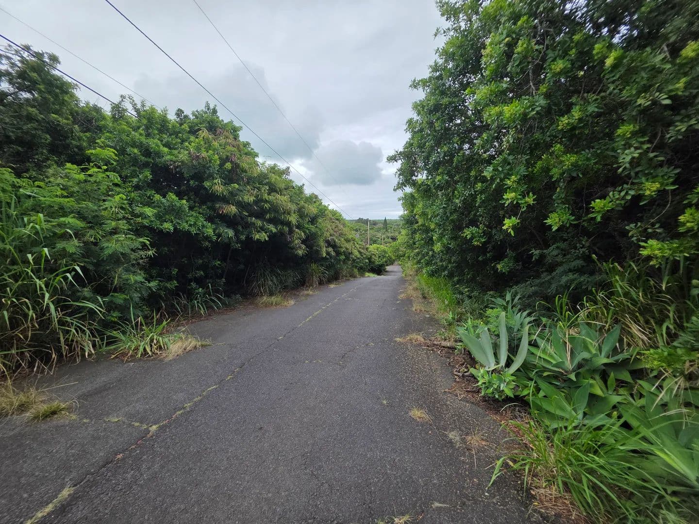 Vacant Land in Naalehu - land for sale