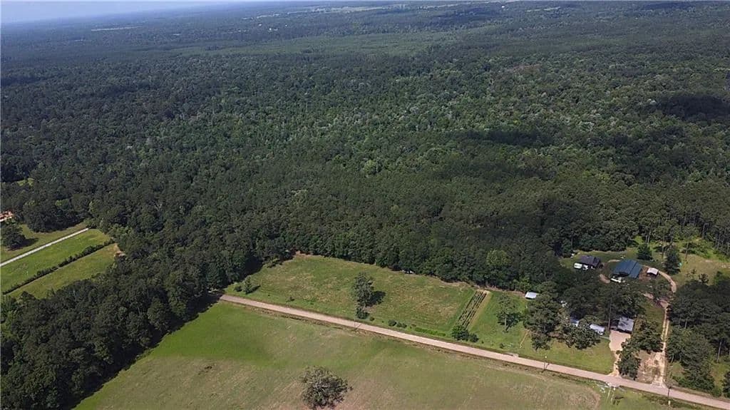71.05 Acres of Land for Sale in Folsom, Louisiana - Folsom, Louisiana, 70437