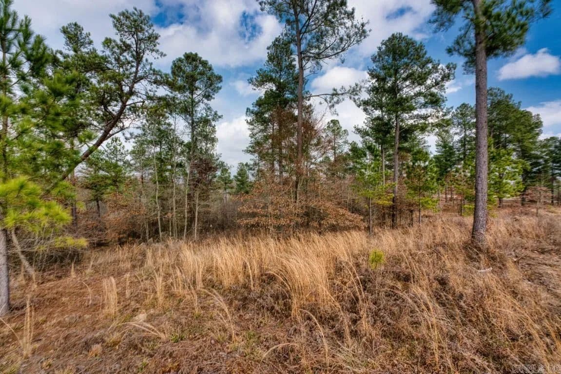 Lots & Land-Other in Kirby - Kirby, Arkansas, 71950