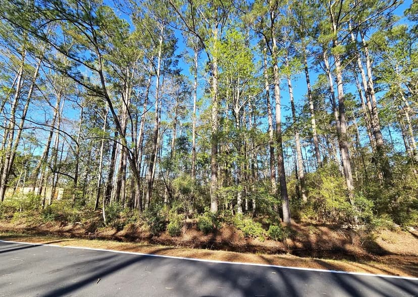 1+ Acre Lot 2 Piney Bluff Road Camden County, GA