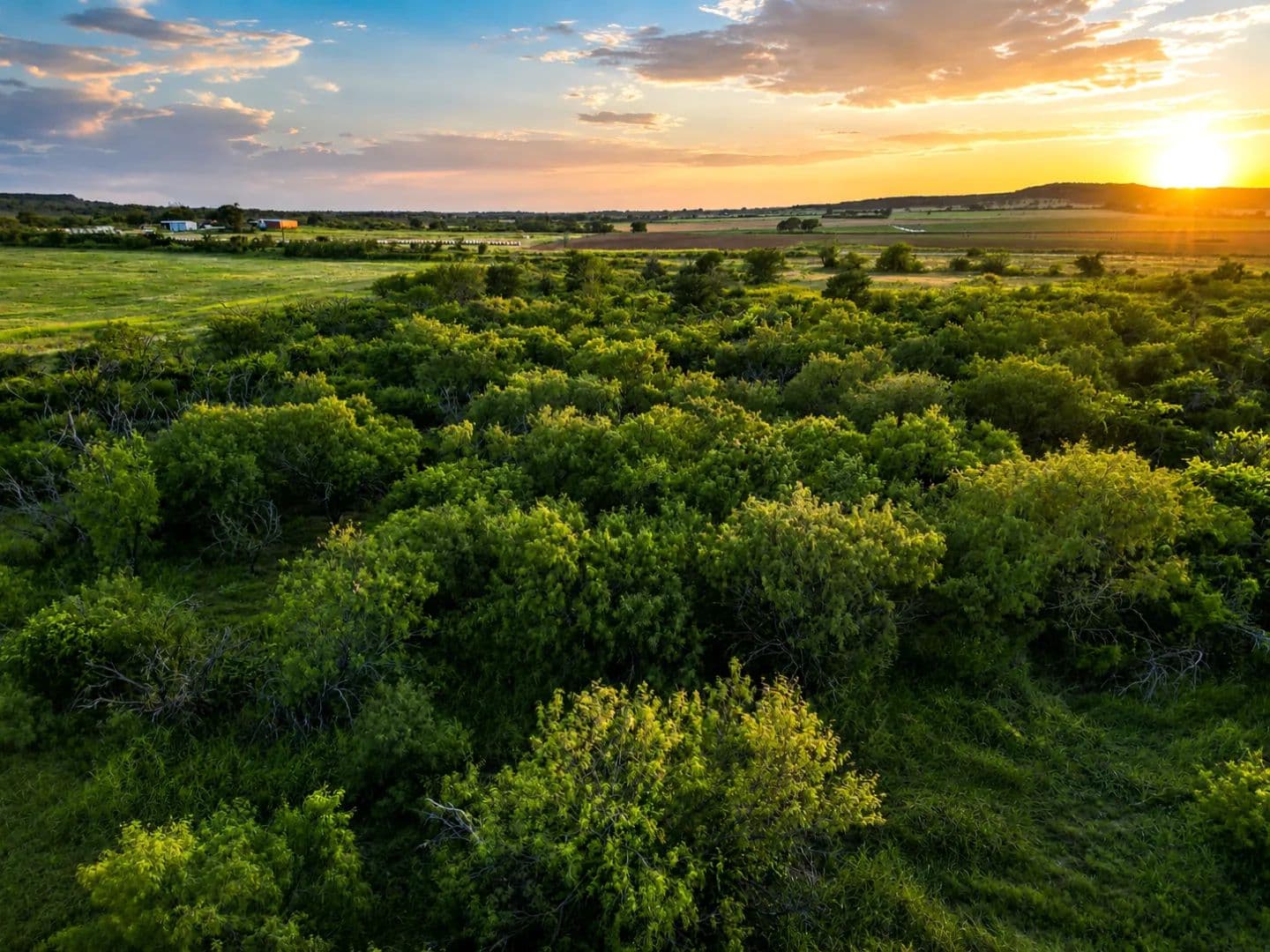 New Listing!!159.569 569+/- AC & Hm, Comanche Co - Texas, 76471
