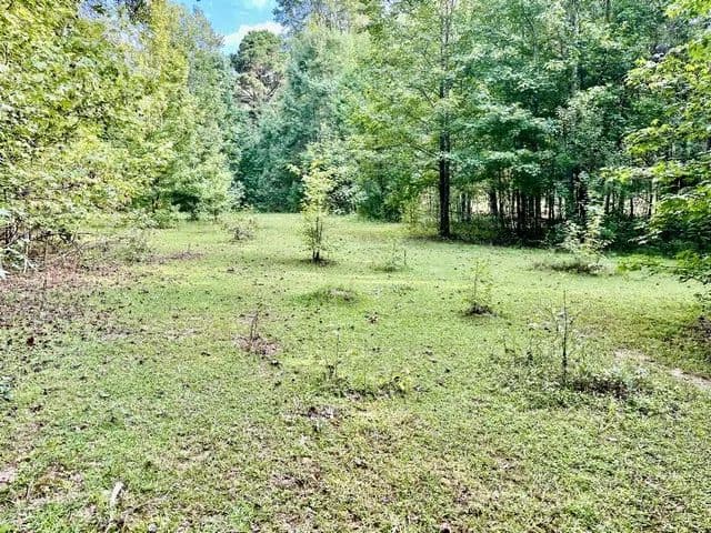 Vacant Land (10+ Acres) in Eclectic - Eclectic, Alabama, 36024