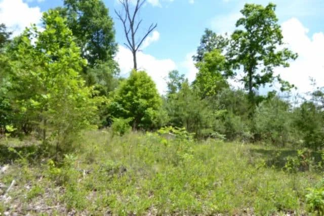 31.22 AC BORDERING THE USA CORP ON DALE HOLLOW LAKE – BUILDING SITES - VIEWS