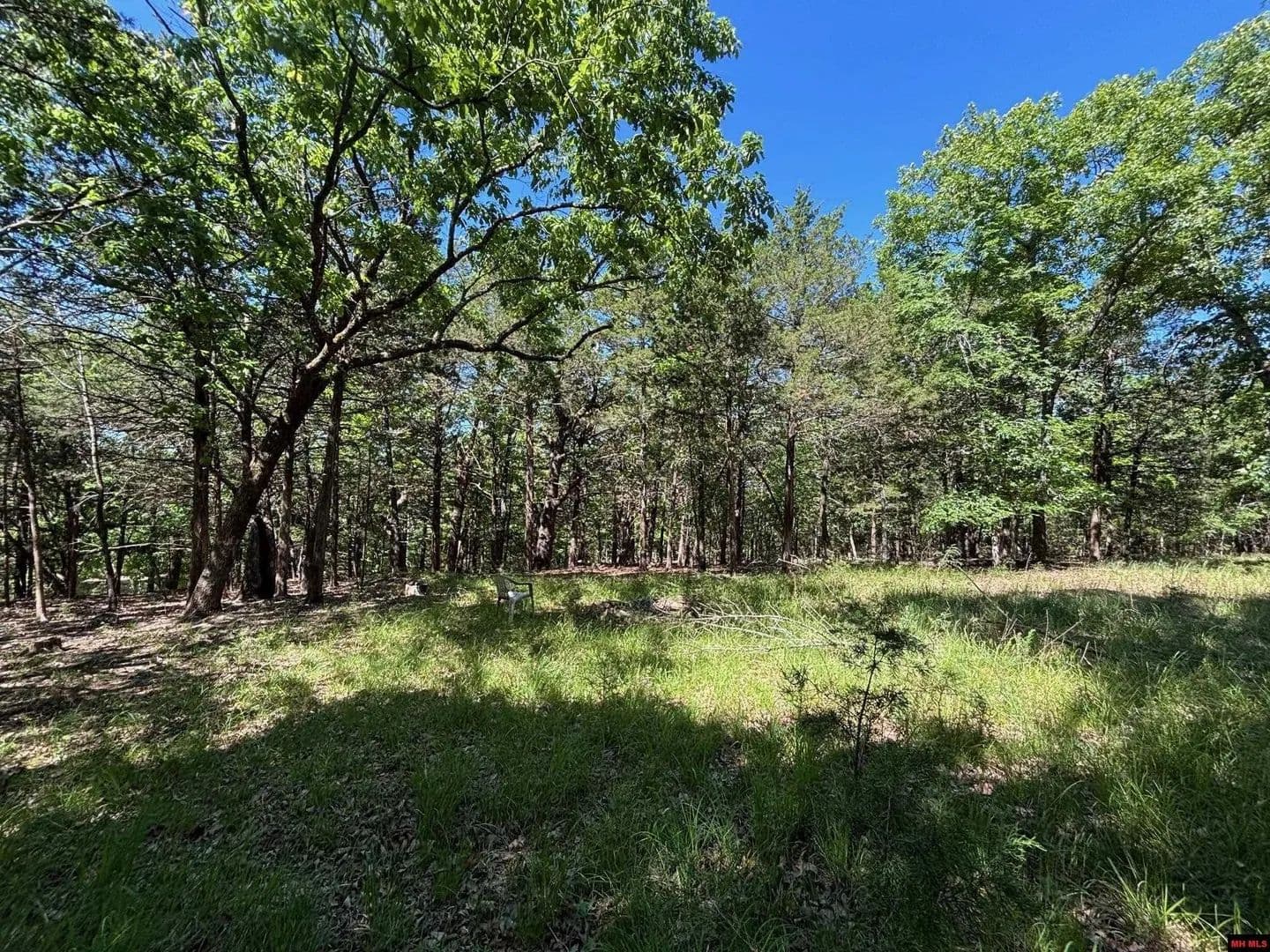 Lots & Land-Other in Oakland - Oakland, Arkansas, 72661