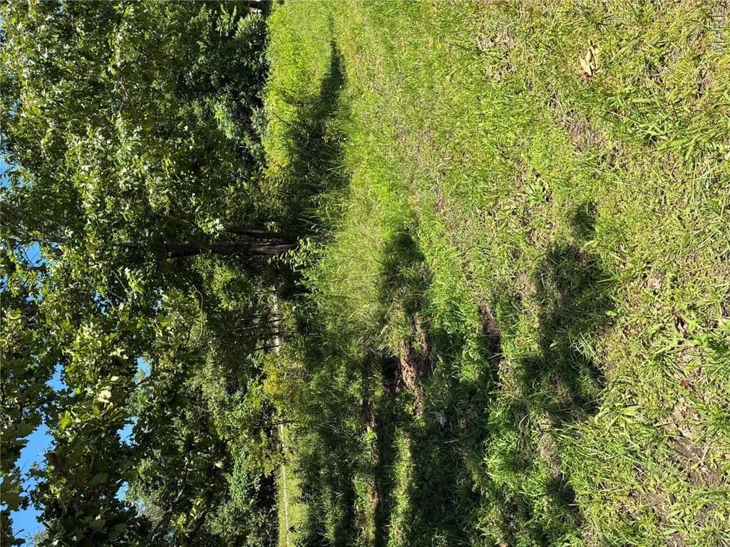 Property from TBD E Highway - KW - Grandin, Missouri, 63943