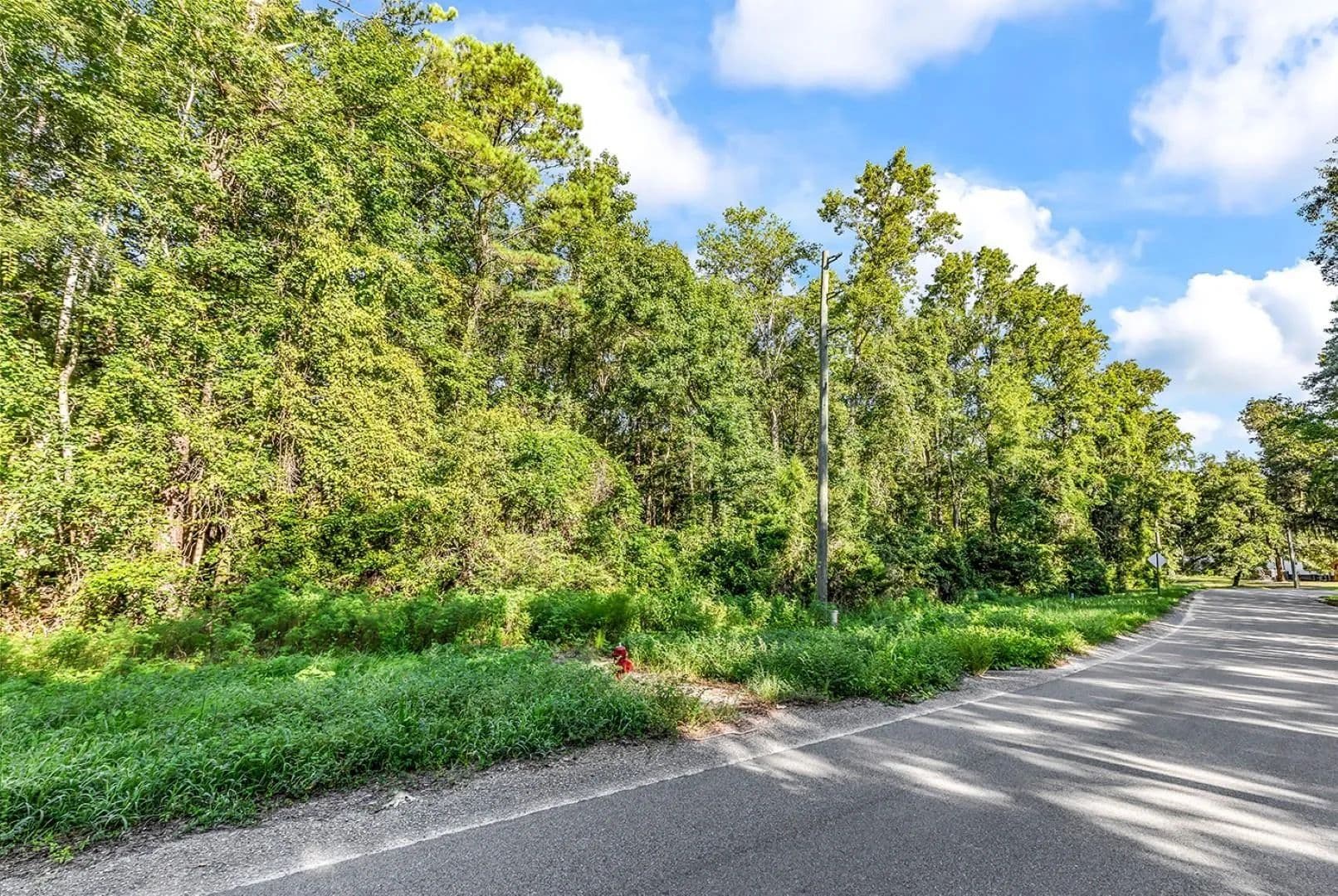 Vacant Land in Longs - Longs, South Carolina, 29568