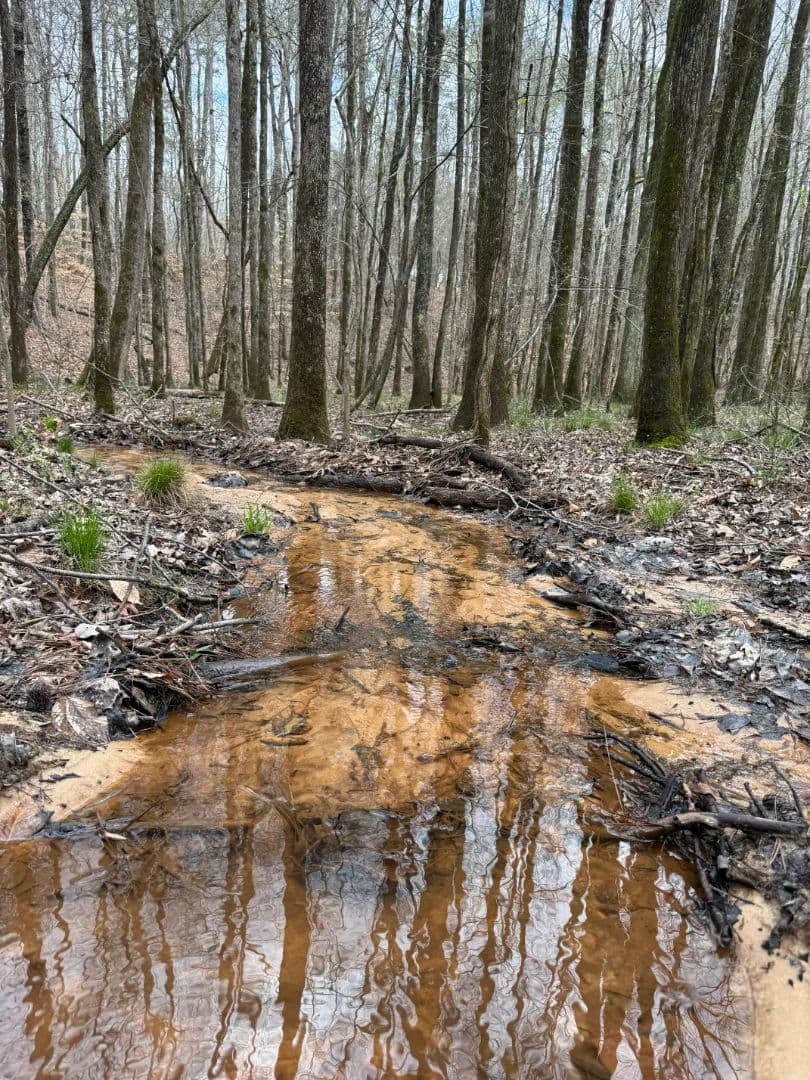 25 Acres in Choctaw County, MS