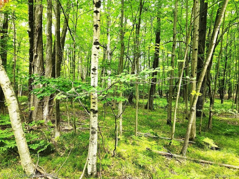 Property from 000 Red Fox Run - KW