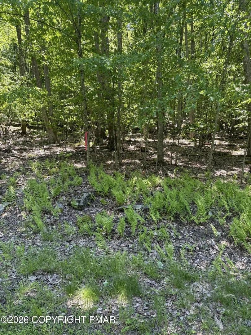 Lots & Land-Other in Tafton - Tafton, Pennsylvania, 18464