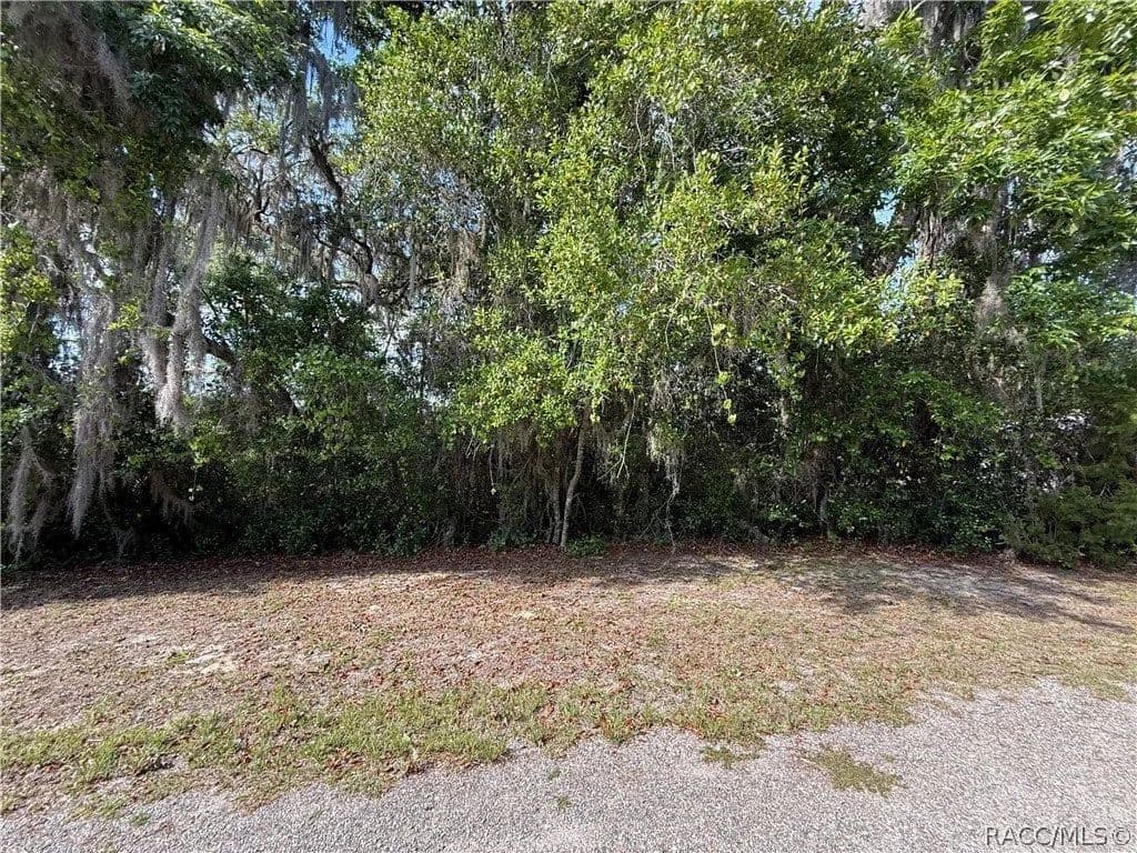 Lots & Land-Other in Inverness - Inverness, Florida, 34453