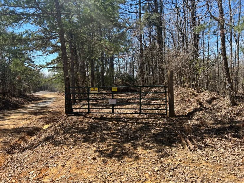 196 Acres Union County, MS 