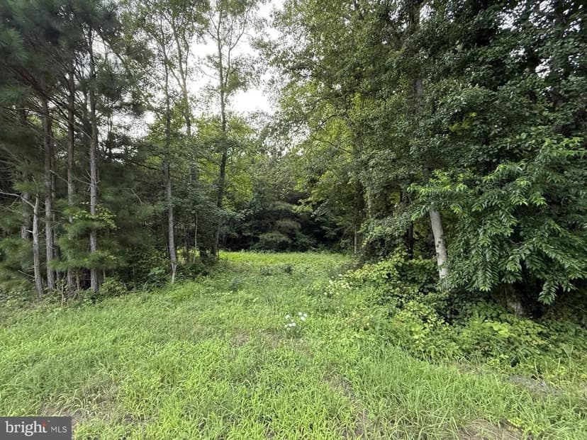 Vacant Land in Newark