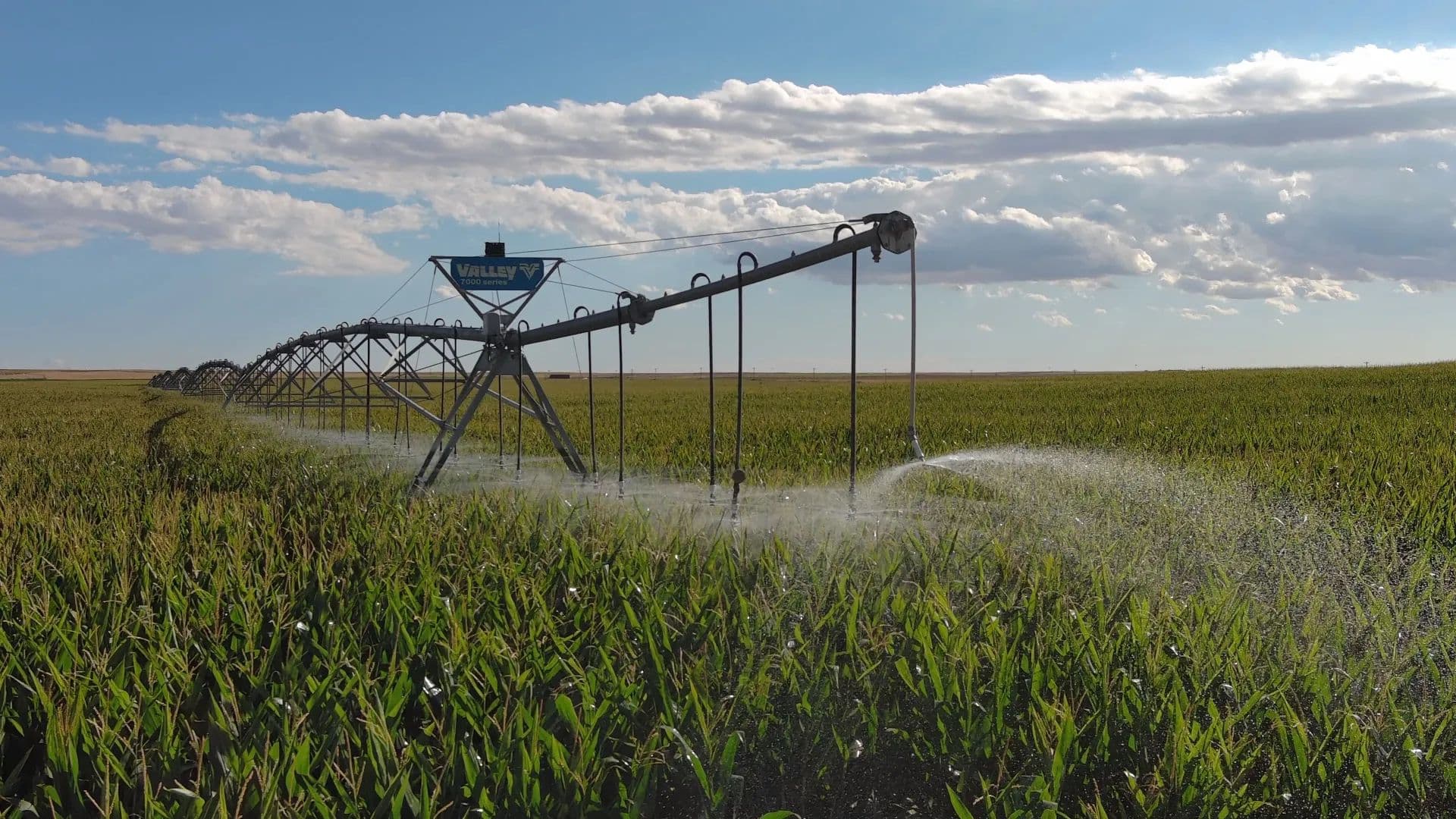 DBL Farm Land Auction - Colorado, 80812