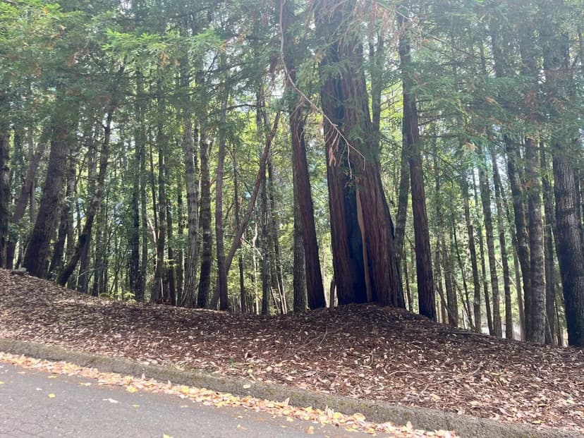 Lots & Land-Other in Willits