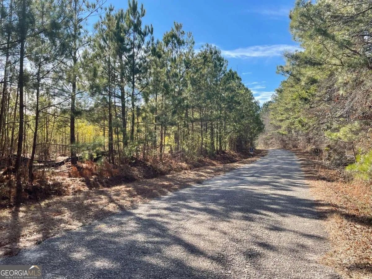 Vacant Land in Union Point - Union Point, Georgia, 30669
