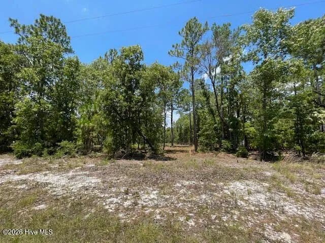 Vacant Land in Currie - Currie, North Carolina, 28435