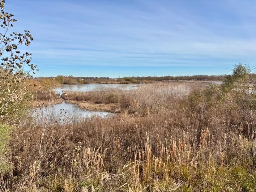 189+/- Acre Recreational Paradise in Washington County, Mississippi