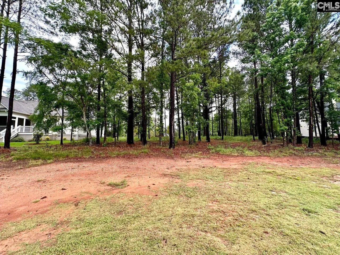 Vacant Land in Chapin - Chapin, South Carolina, 29036