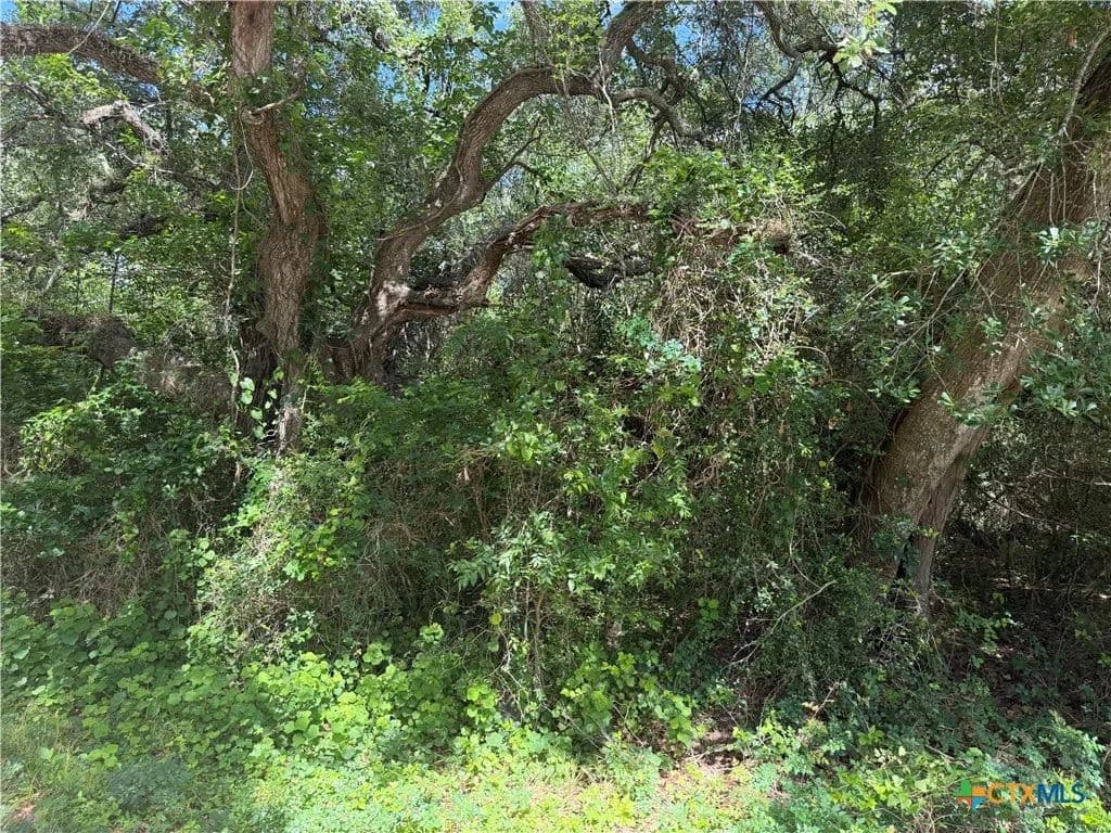 0.12 Acres of Land for Sale in Palacios, Texas - Palacios, Texas, 77465