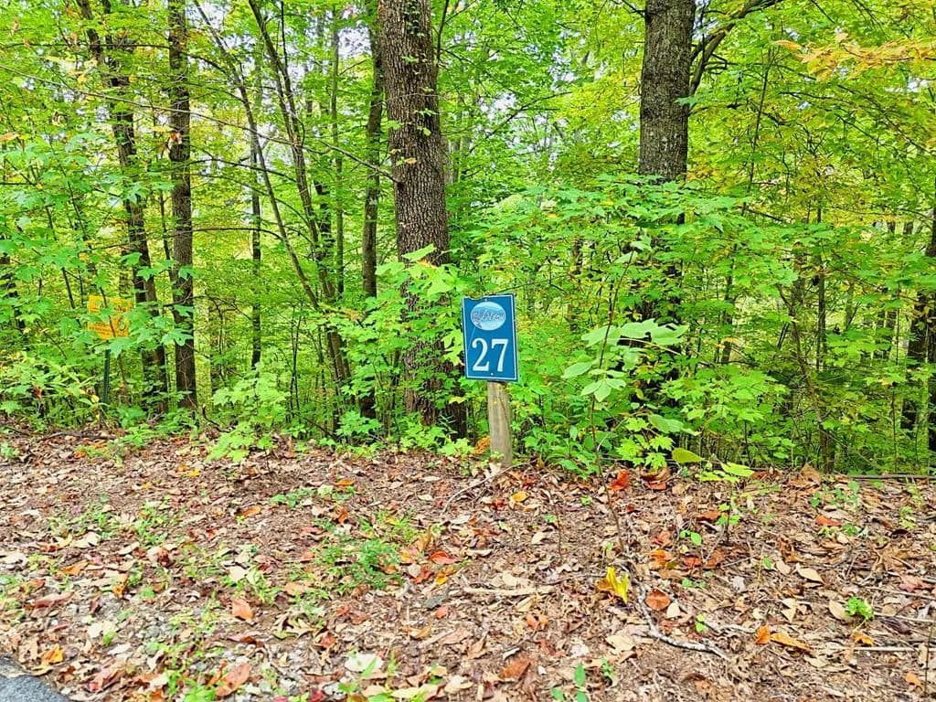 Lots & Land-Other in Hayesville - Hayesville, North Carolina, 28904