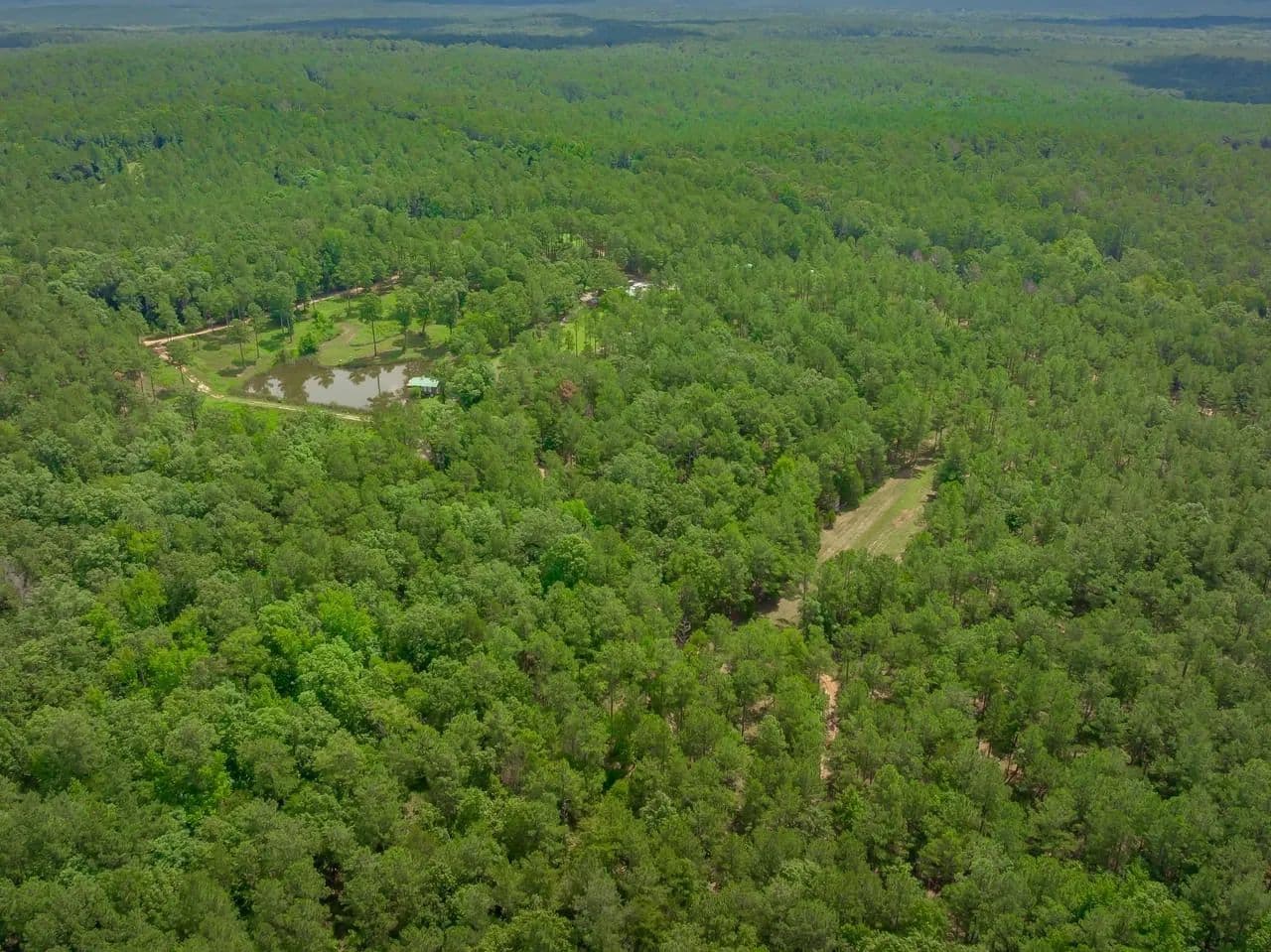 Gunrise Farms - Newberry, South Carolina, 29108