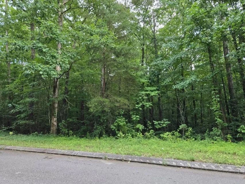 Land -Agricultural (Not Zoned) in Dunlap - Dunlap, Tennessee, 37327