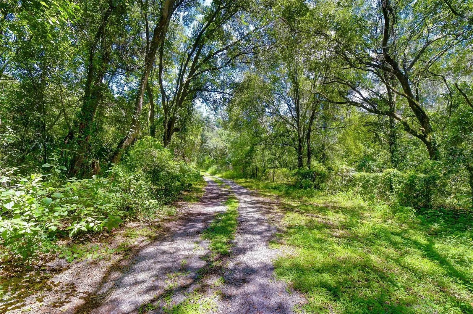 Lots & Land-Other in ZEPHYRHILLS - Zephyrhills, Florida, 33541