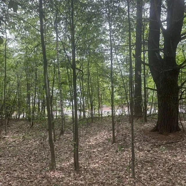 Vacant Land in Wakefield - Wakefield, New Hampshire, 3872