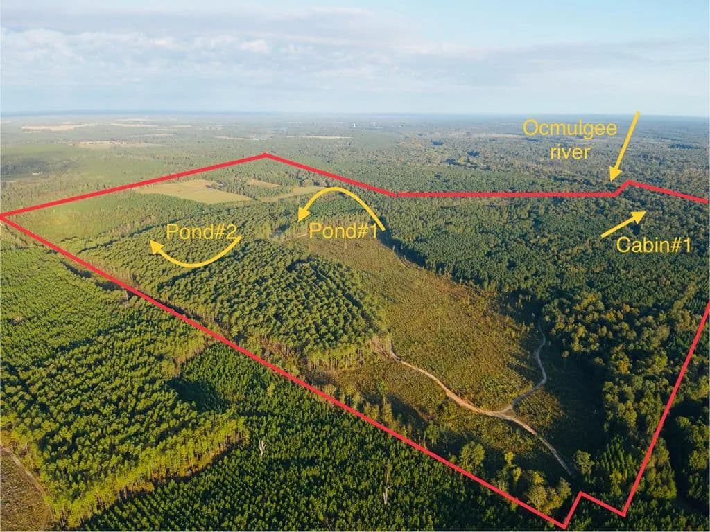 Lots & Land-Other in Abbeville - Abbeville, Georgia, 31001
