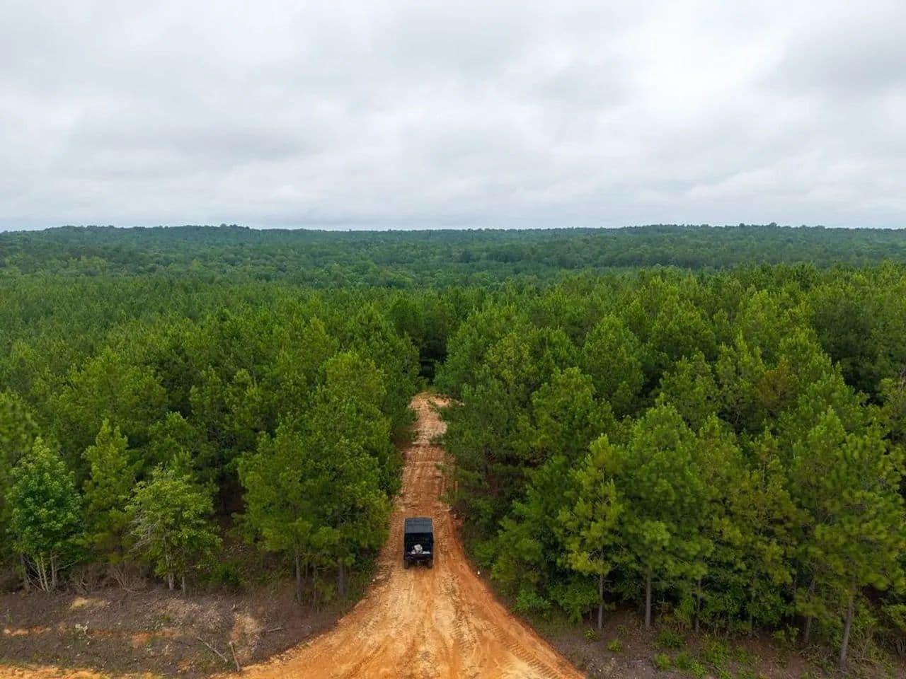 49 Acres in Chilton County | Lightwood 1 - Clanton, Alabama, 36000