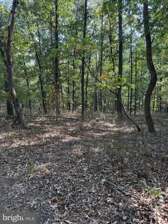 Vacant Land in Winchester