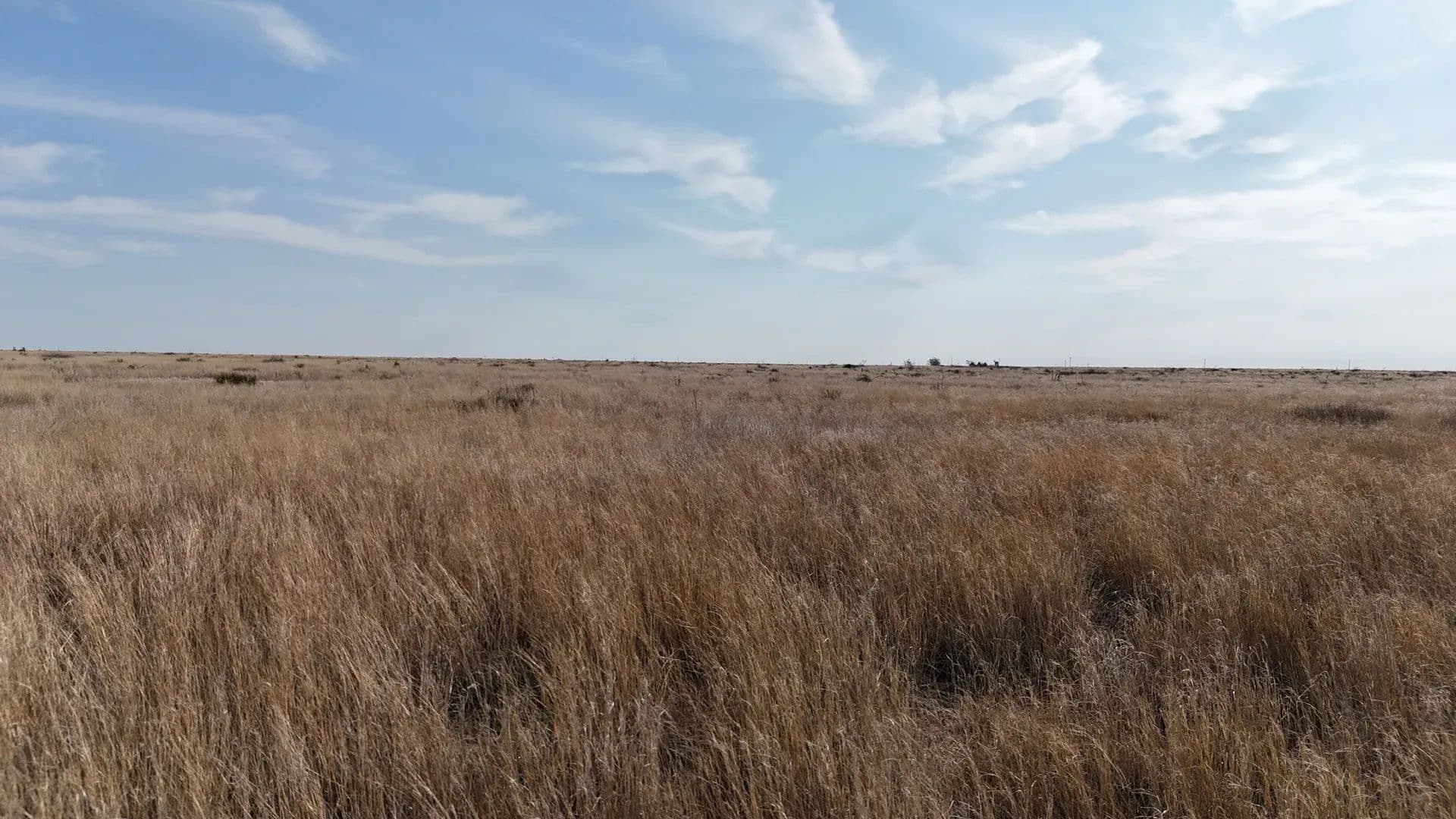 320 Acres of Land for Sale in Goodland, TX - Goodland, Texas, 79371