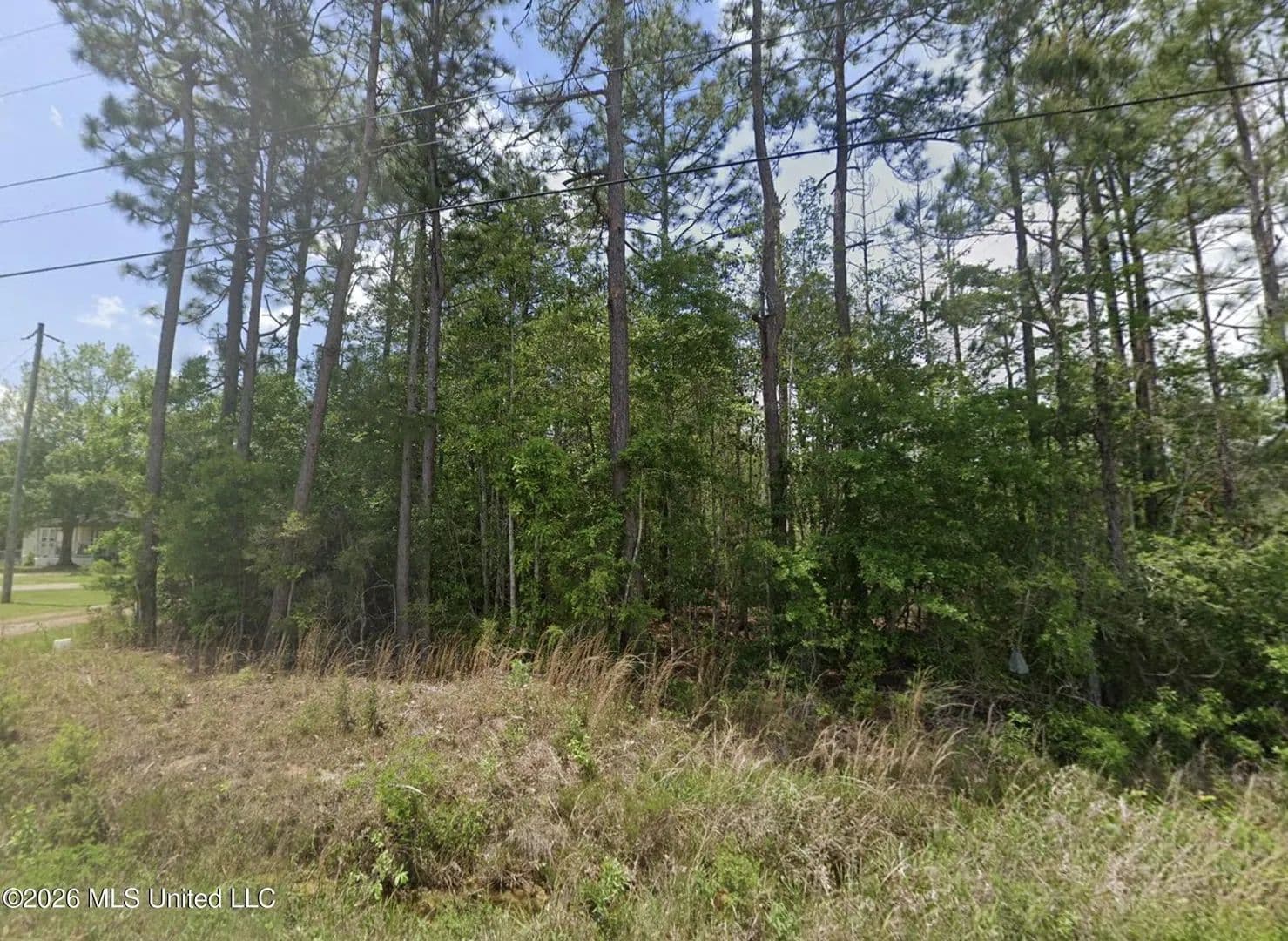 Lots & Land-Other in McHenry - Mchenry, Mississippi, 39561