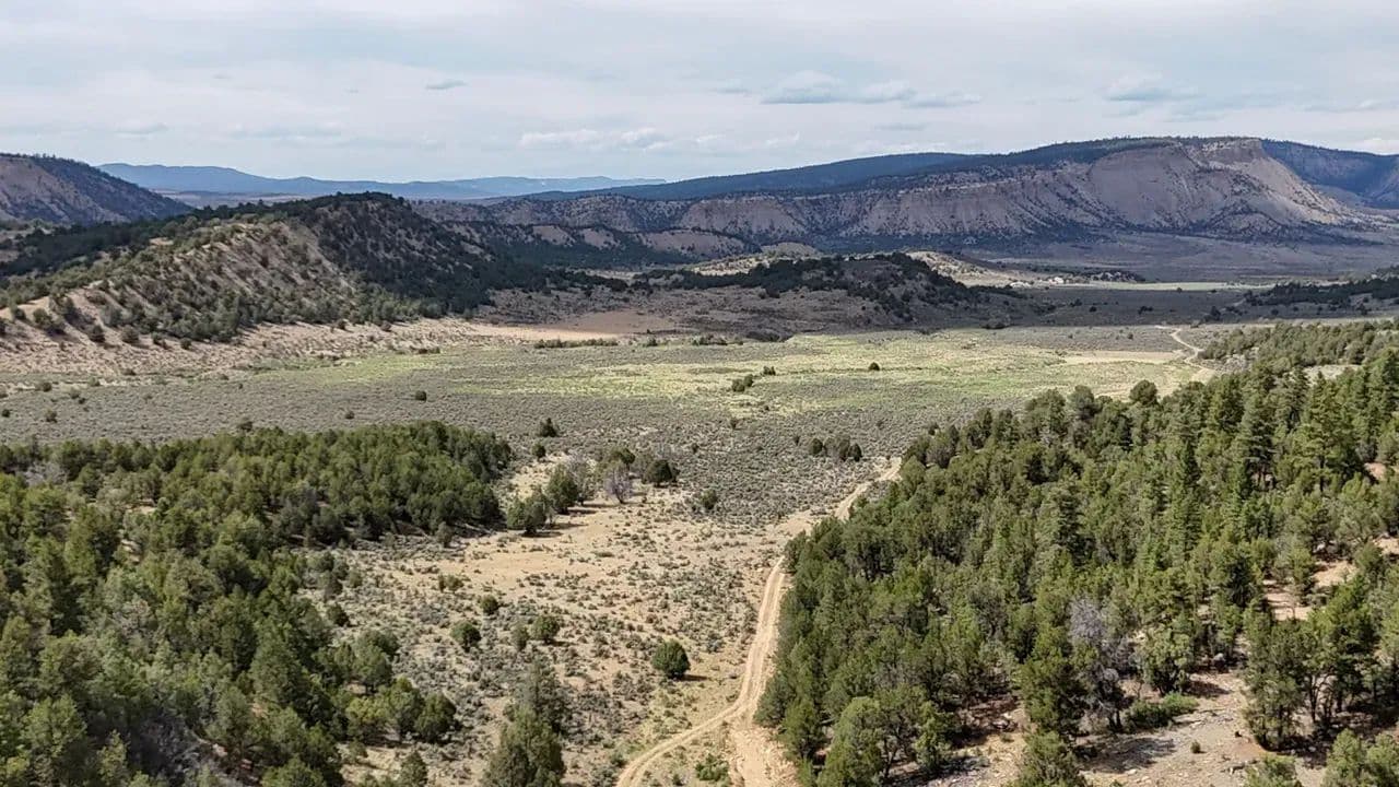 267.5 Acres Forest Inholding Game Mgmnt 5B - Llaves, New Mexico, 87027