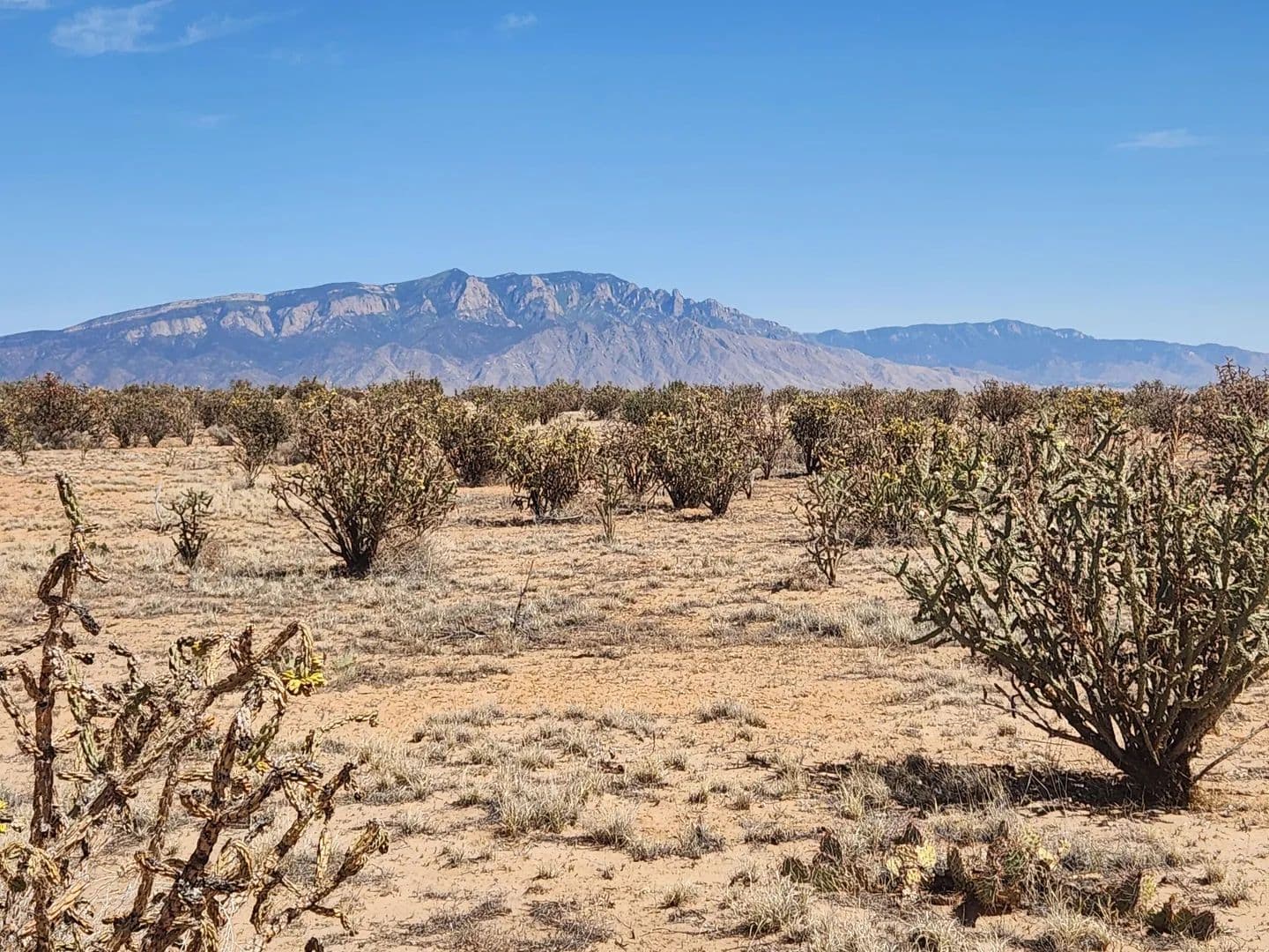 Property from 4728 Majesty Road NE - KW - Rio Rancho, New Mexico, 87144