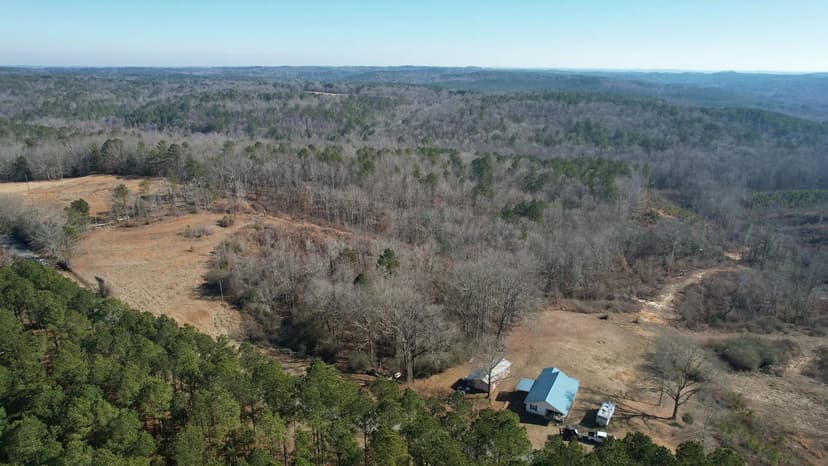 Beaverton 52 - Home & Hunting Lamar Co AL