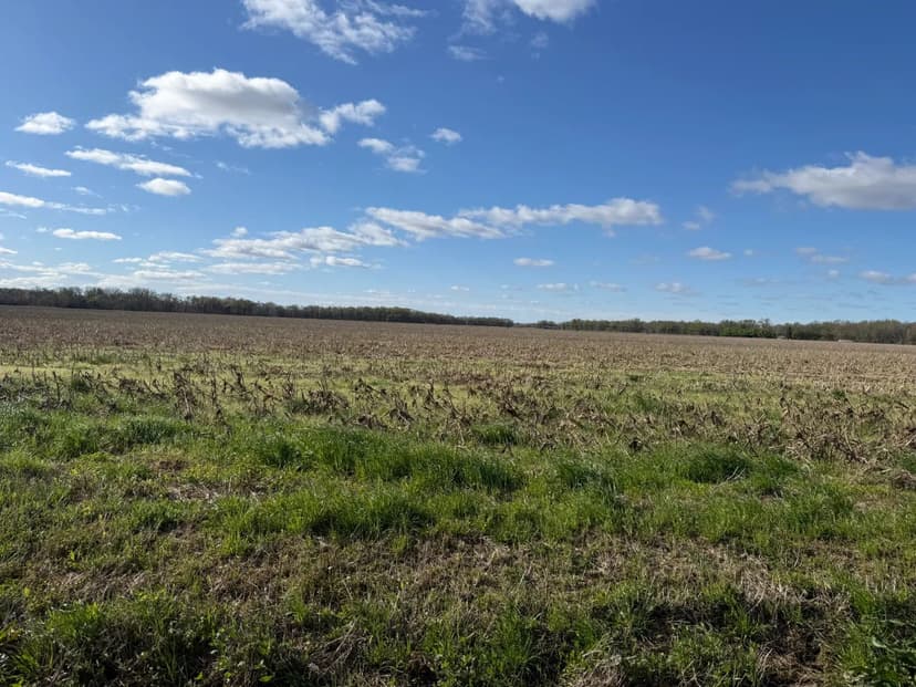 LA - West Carroll 184 acres +/-