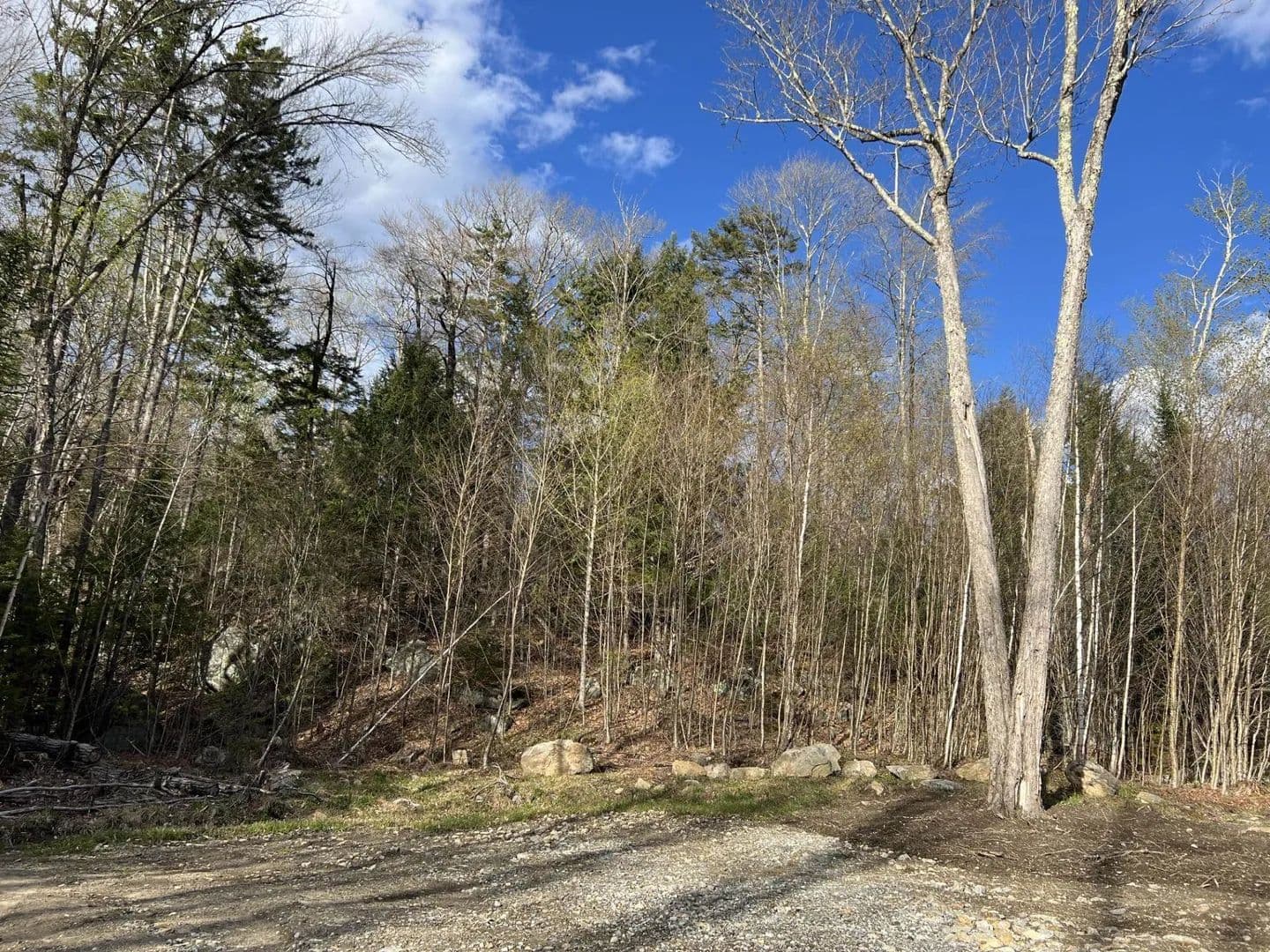 Vacant Land in Wentworth - Wentworth, New Hampshire, 03282