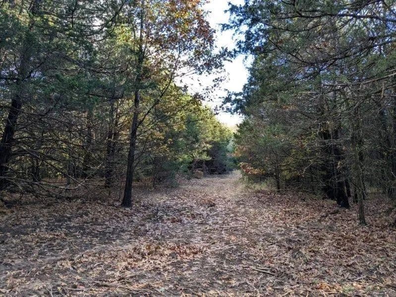 Property from Pine Tree - KW - Prairie Grove, Arkansas, 72758
